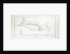 Sketch of the routes from Kustenjeh to Chernavoda and Rassova with the Karasu Lakes by Captain T. Spratt R.N. C.B. 24 July 1854 by Thomas A. B. Spratt