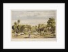 Slave plantation at Surinam, South America by unknown
