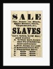 Slave sale poster by Unknown
