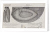 Halkett's boat-cloak or cloak-boat by Unknown