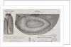 Halkett's boat-cloak or cloak-boat by Unknown