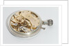 Deck watch, movement by Ulysse Nardin