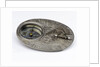 Butterfield dial for latitudes 40-60 north by Chapotot