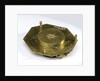 Augsburg dial, underside by Ludovicus Theodatus Muller