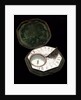 Butterfield dial for latitudes 40˚-60˚ north by Chapotot