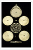 Astrolabe by unknown
