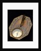 Butterfield dial for latitudes 35˚-60˚ north by Chapotot