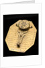 Butterfield dial, reverse by Macquart