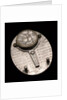 Butterfield dial, reverse by Pierre Sevin