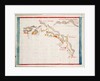 Bahia San Mateo by Basil Ringrose