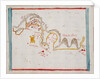 Concepcion by Basil Ringrose