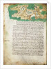 Chart of Ithaki by Cristoforo Buondelmonti