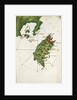 Rhodes, Simi and the adjacent coast by Bartolommeo dalli Sonetti