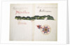 Masatlan and Sallinas by William Hack