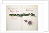 Masatlan and Sallinas by William Hack