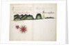 Encomienda and Soconusco by William Hack