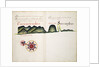 Encomienda and Soconusco by William Hack