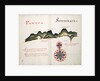 Paneca and Sonsonate by William Hack
