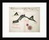 A description of the Gulf of Papagajo by William Hack