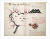 The Bay of Phillipina by William Hack