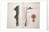 Mount of Sapo, Punta Chame and La Chorrera by William Hack