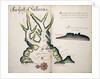 The Gulf of Vallona by William Hack