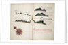 Corientes by William Hack