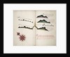Corientes by William Hack