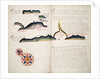 Passao by William Hack