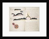 Passao by William Hack