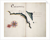 Caraputo by William Hack