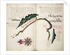 The Bay of Colan & Port of Paita by William Hack