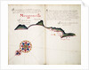 Mongoncilla by William Hack