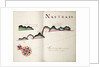 Nastras, South American Pacific coast by William Hack