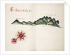 St George, South American Pacific coast by William Hack