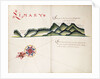 Limary, South American Pacific coast by William Hack