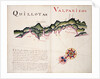 Quillota and Valpariso, South American Pacific coast by William Hack