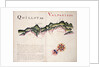 Quillota and Valpariso, South American Pacific coast by William Hack