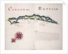 Caxaoma [and] Rapell by William Hack