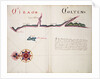 Tirao [and] Tolten by William Hack