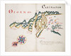 Osorno and Carimapo, South American Pacific coast by William Hack