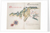 Osorno and Carimapo, South American Pacific coast by William Hack