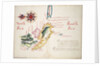Straits of Magellan and Le Maire, South American Pacific coast by William Hack