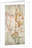 Ireland south of Limerick by unknown