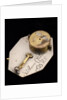 Horizontal dial, reverse by Salomon Chesnon