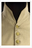 Royal Naval uniform: pattern 1795 by unknown