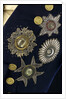 Royal Naval uniform: pattern 1795-1812 by unknown