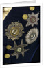 Royal Naval uniform: pattern 1795-1812 by unknown