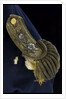 Royal Naval uniform: pattern 1795 by unknown