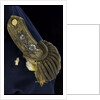 Royal Naval uniform: pattern 1795 by unknown
